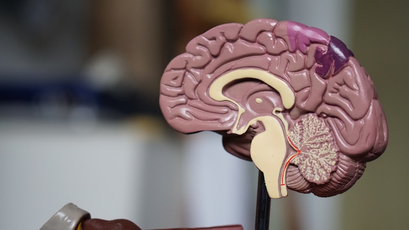 Sciences Infirmières & Obstétricales